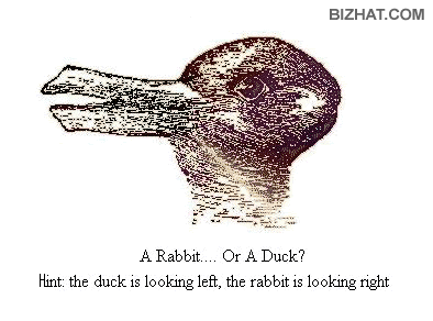 rabit head or duck