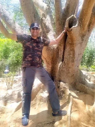 hemant84